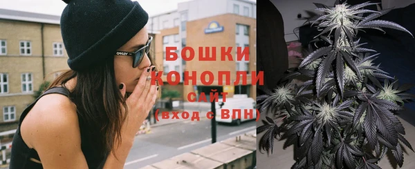 кокс Арсеньев